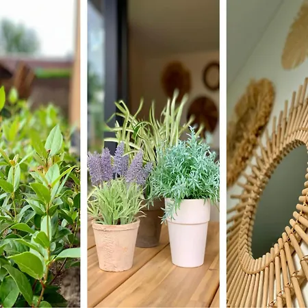 Near Market Дом отдыха