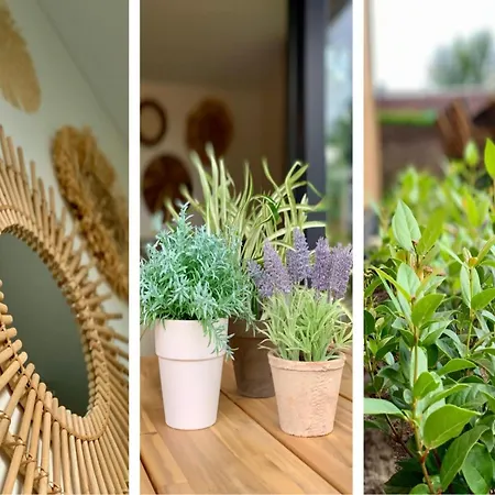 Vakantiehuis Near Market